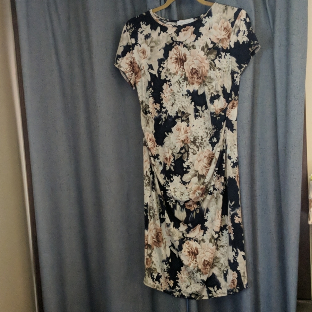 NWOT Blue and Blush Floral Maternity Dress